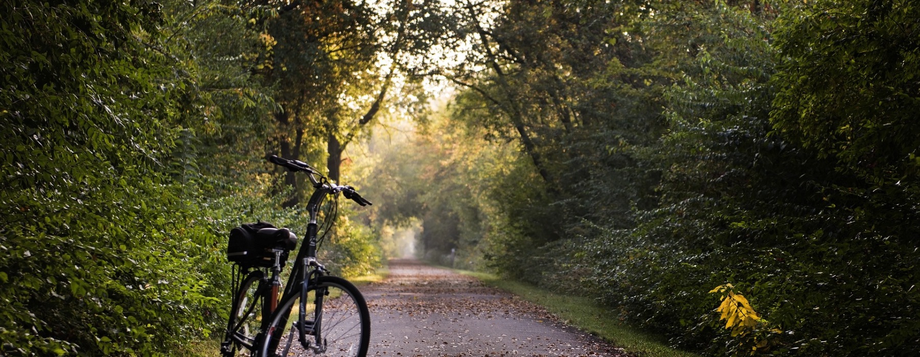 bike trail near The Rowan, apartments in Oviedo, Florida